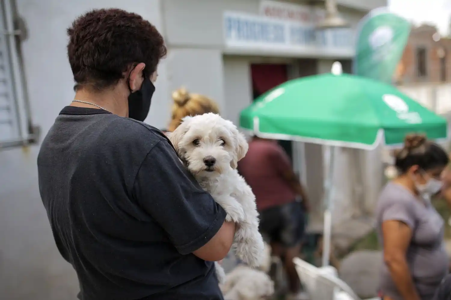 La Municipalidad continúa con la campaña de castración de animales