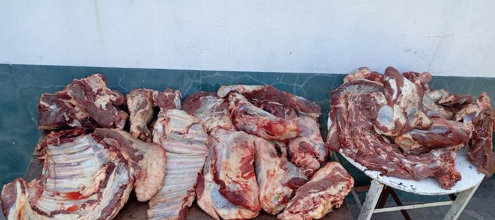 Los Pumas incautaron 230 kilos de carne de dudosa procedencia y aprehendieron a un hombre - 2