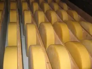 Queso con cocaína: ingenio para traficar