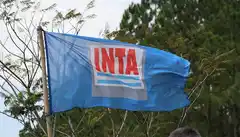 INTA: el Gobierno aceptó la decisión de la Justicia y frenó los despidos