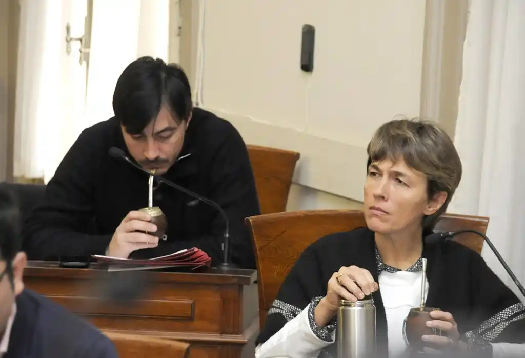 Piden al Ejecutivo precisiones sobre el estatus de los jardines municipales