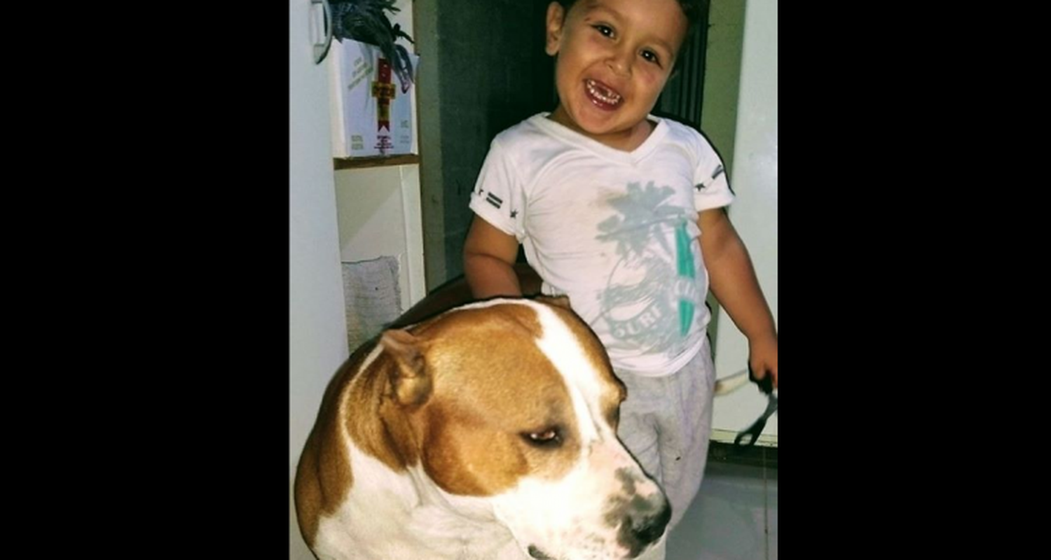 Trasladaron a un centro de rehabilitación a Waldemar, el niño de 4 años atropellado por una moto