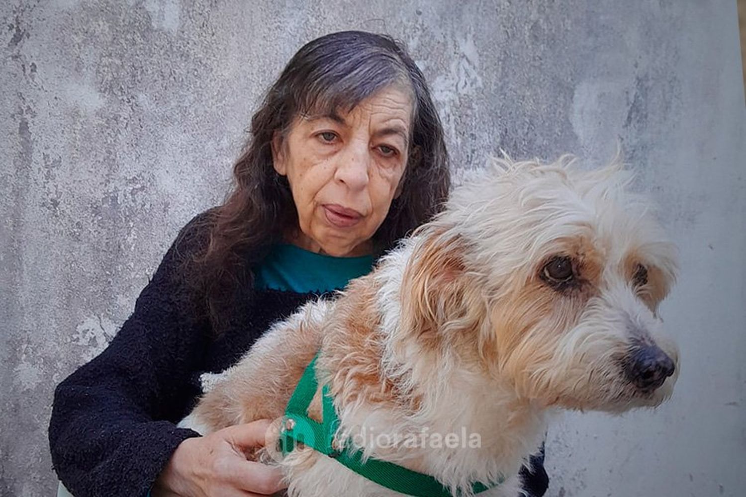 Tras varios días de búsqueda, Barbi ya está con su abuelita: conocé su historia