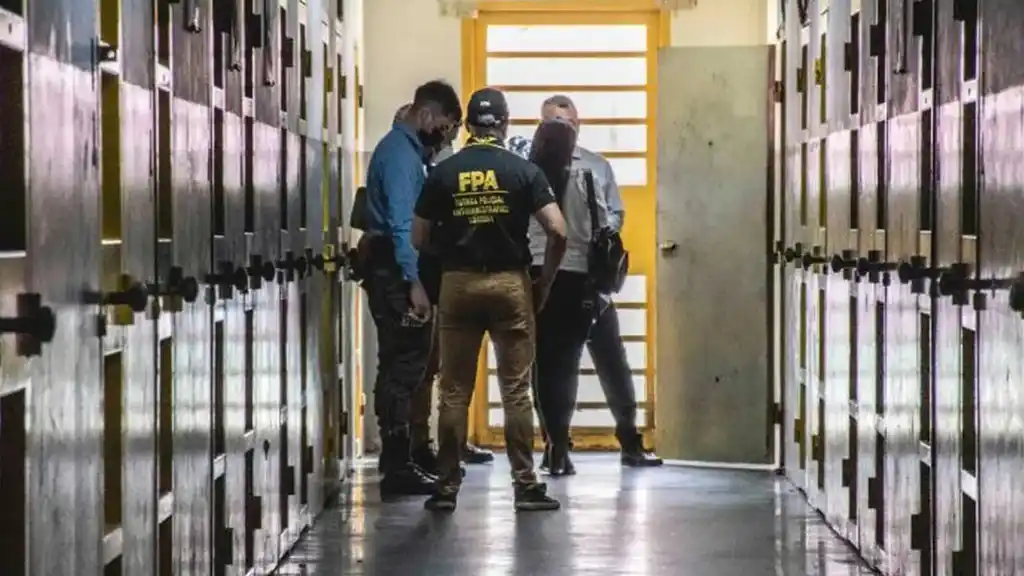 "Todo el mundo se pregunta si los presos pueden o no tener celular"