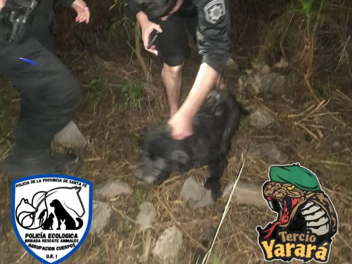 ¡Un héroe!: En medio del frío, un policía se arrojó a la Laguna Setúbal para salvar a un perro