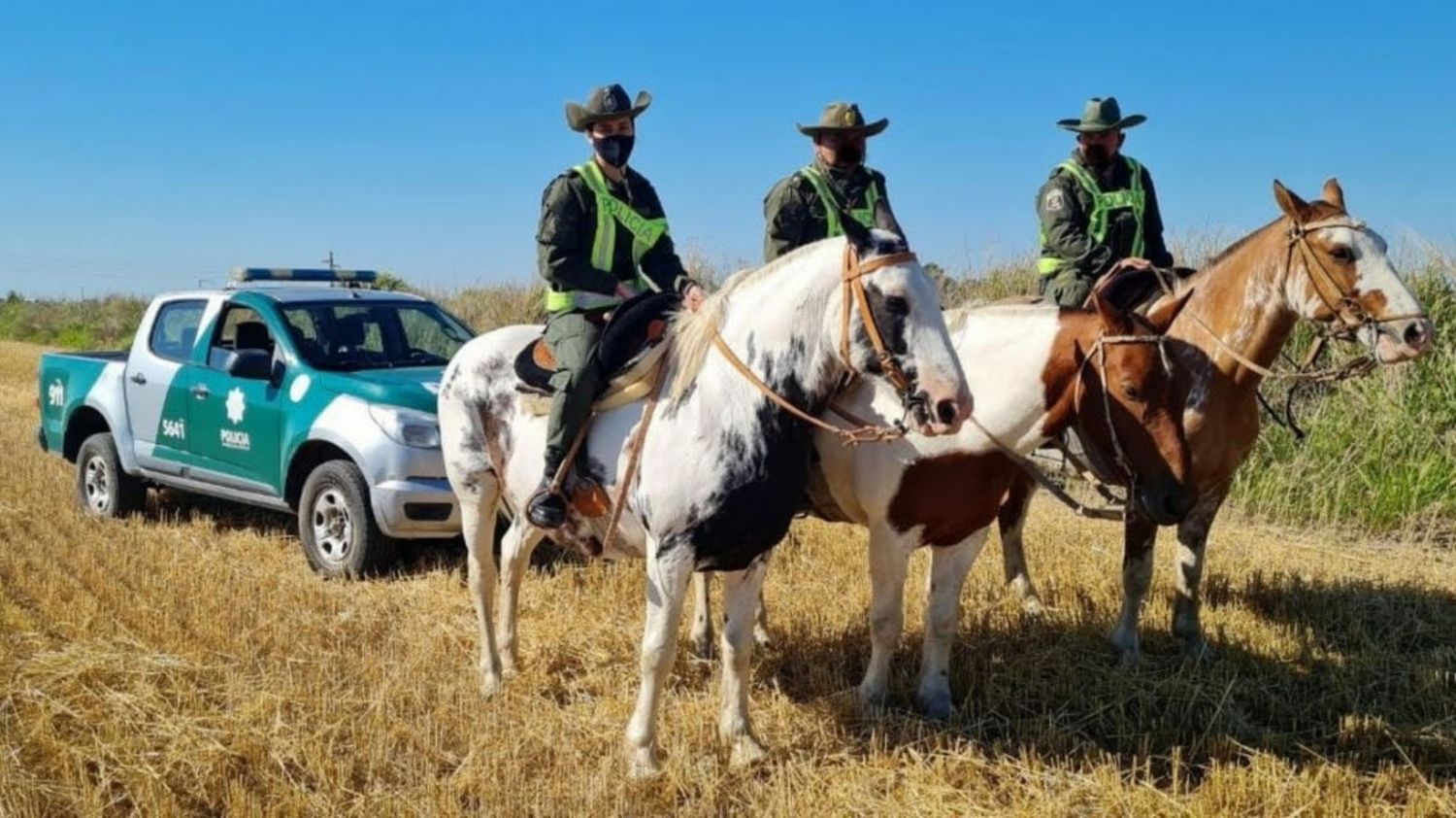 Los Pumas realizaron más de 500 procedimientos por delitos rurales