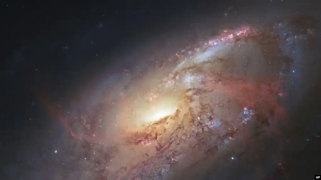 NASA nombra Arrokoth a mundo jamás explorado