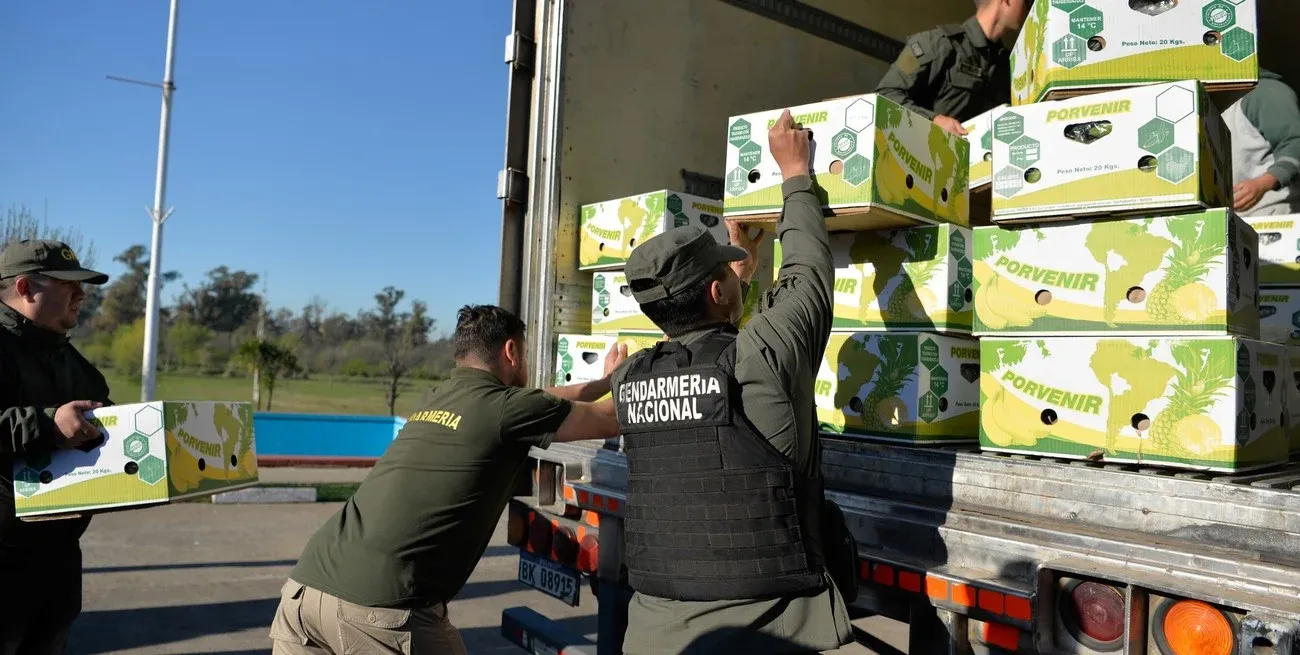 Atraparon a un traficante de banana con un 'condimento especial': tenía más de 400kg de cocaína oculta