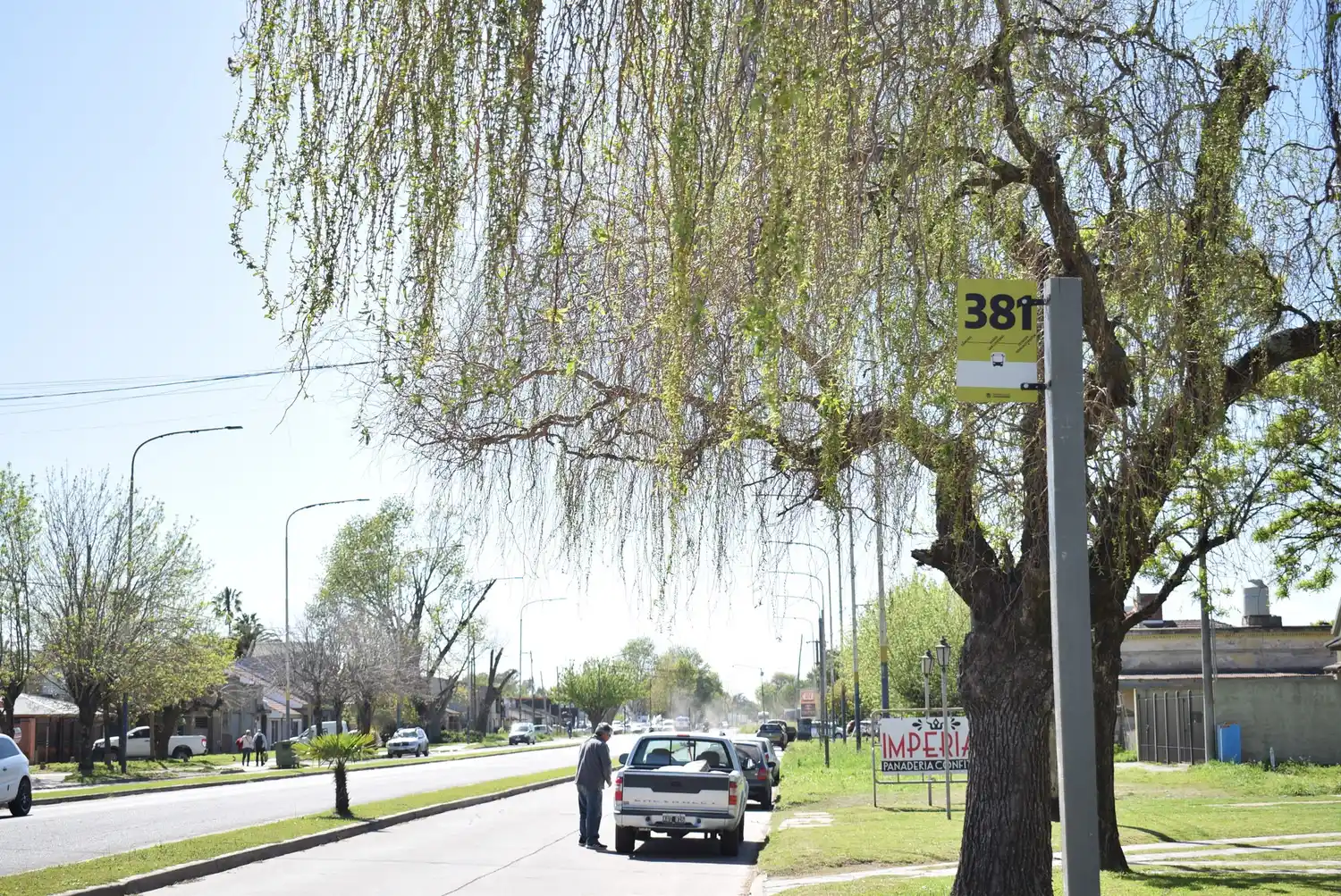 La línea 381 comenzará la próxima semana a unir el barrio San Cayetano con la Estación Ferroautomotor