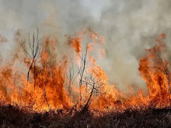 La Corte condenó a Nación, provincias y municipios por las quemas en el Delta del Paraná