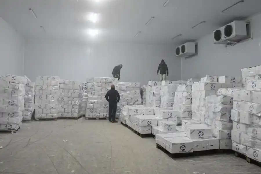 Provincia intensifica los controles y decomisos contra la pesca ilegal