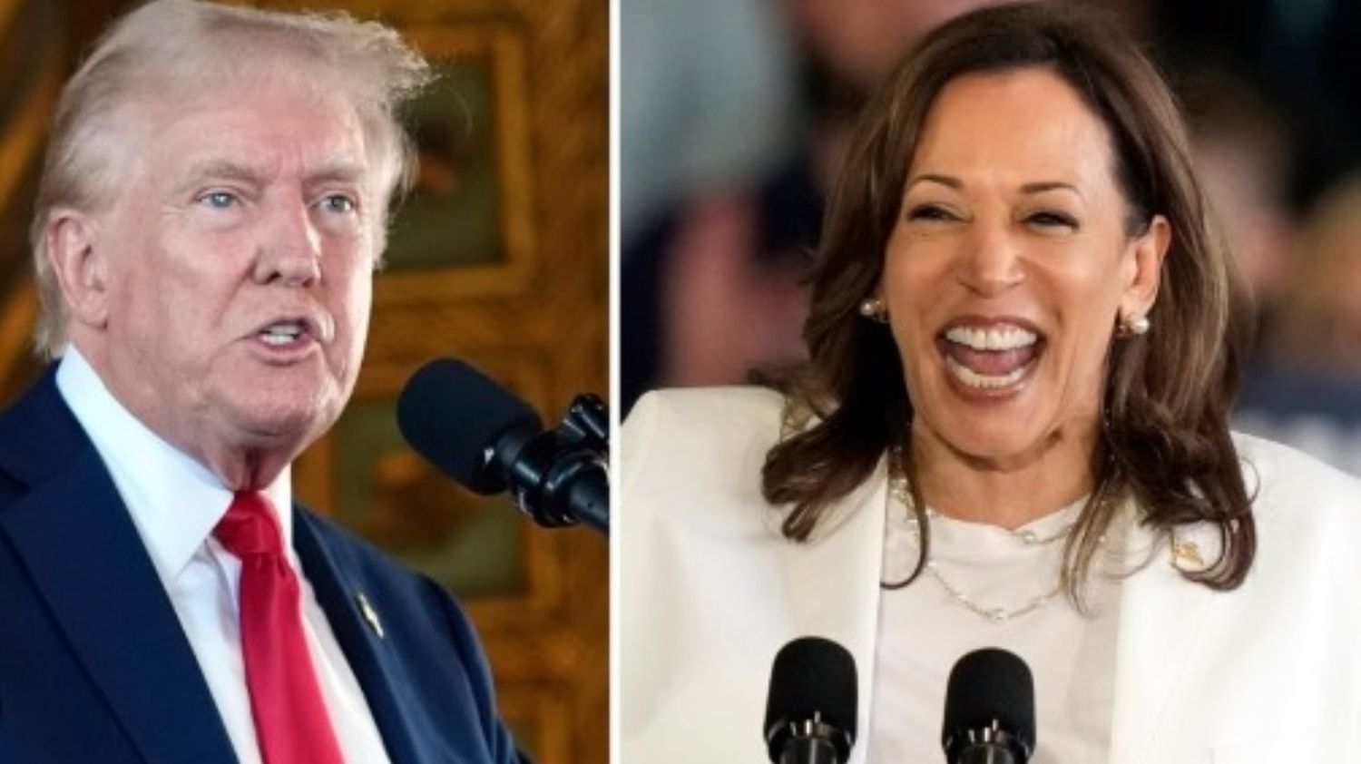 Trump y Harris ¿Debaten por primera y quizás última vez?
