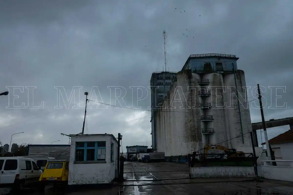Crece la preocupación por la demora en la destrucción de los silos