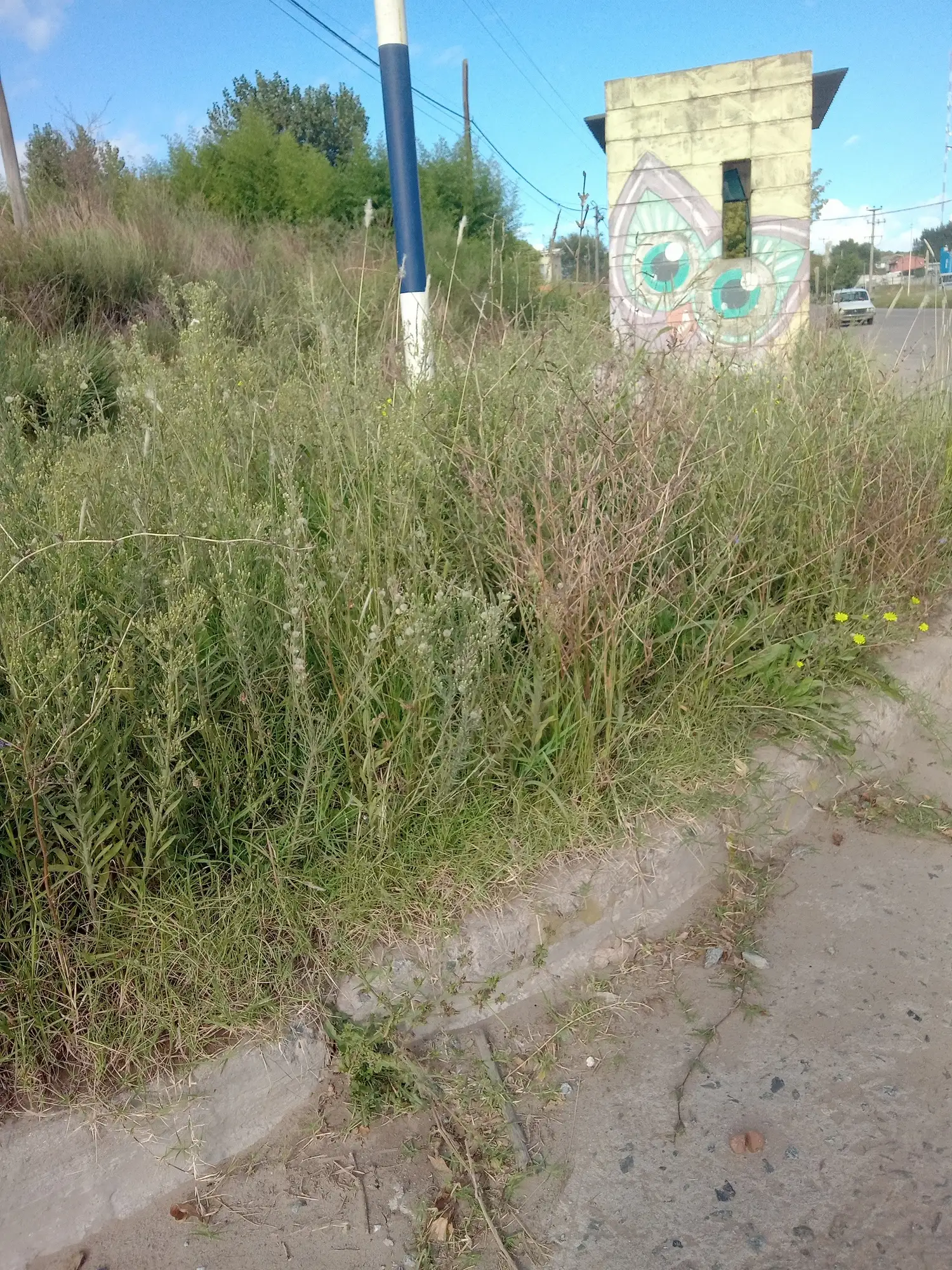 Barrio descuidado