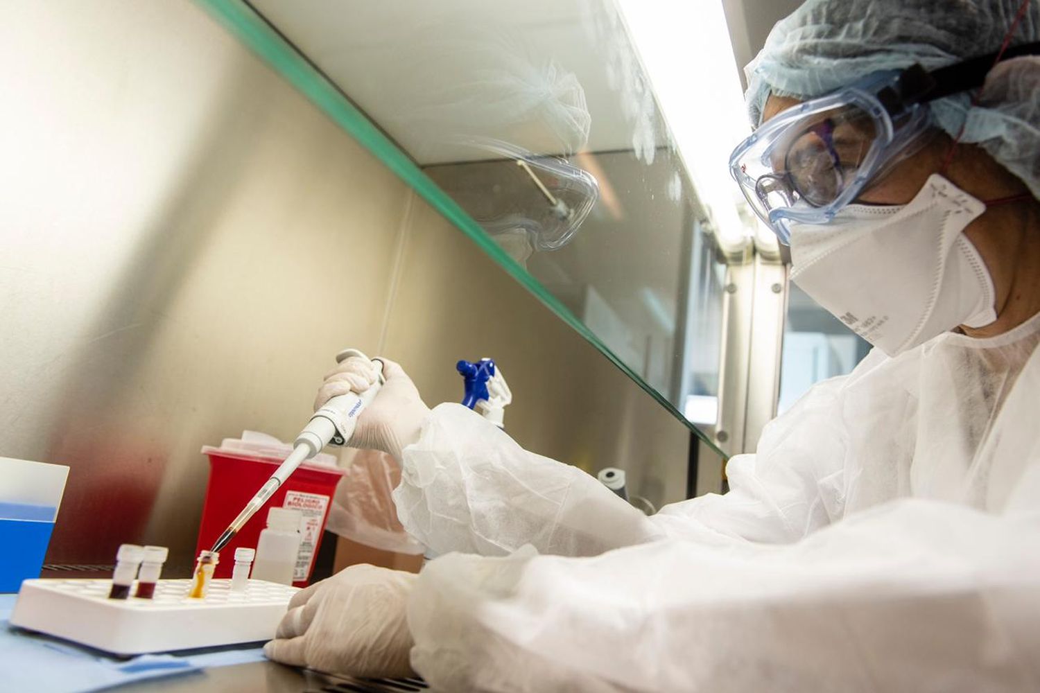 El Malbrán logró secuenciar el genoma completo del coronavirus, SARS COV-2