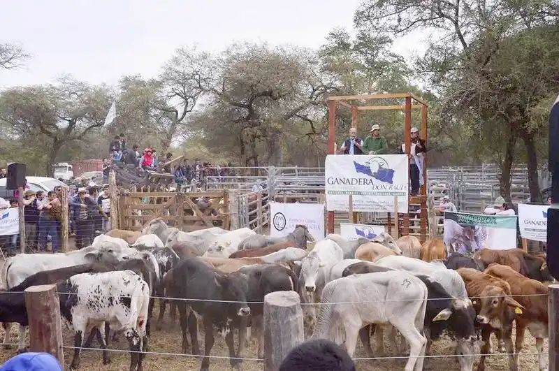 Afirman que “el Gobierno asiste a los 
productores ganaderos en toda la provincia”