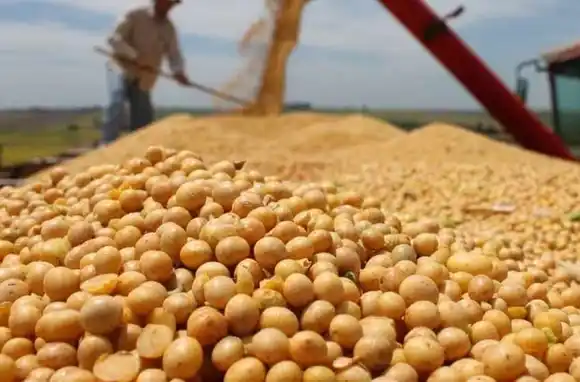 Regresan las retenciones luego de que se agotara el tope de liquidación por 7 mil millones de dólares