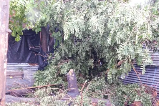 Temporal en la provincia: dos muertos, un hospital incendiado y algunos evacuados