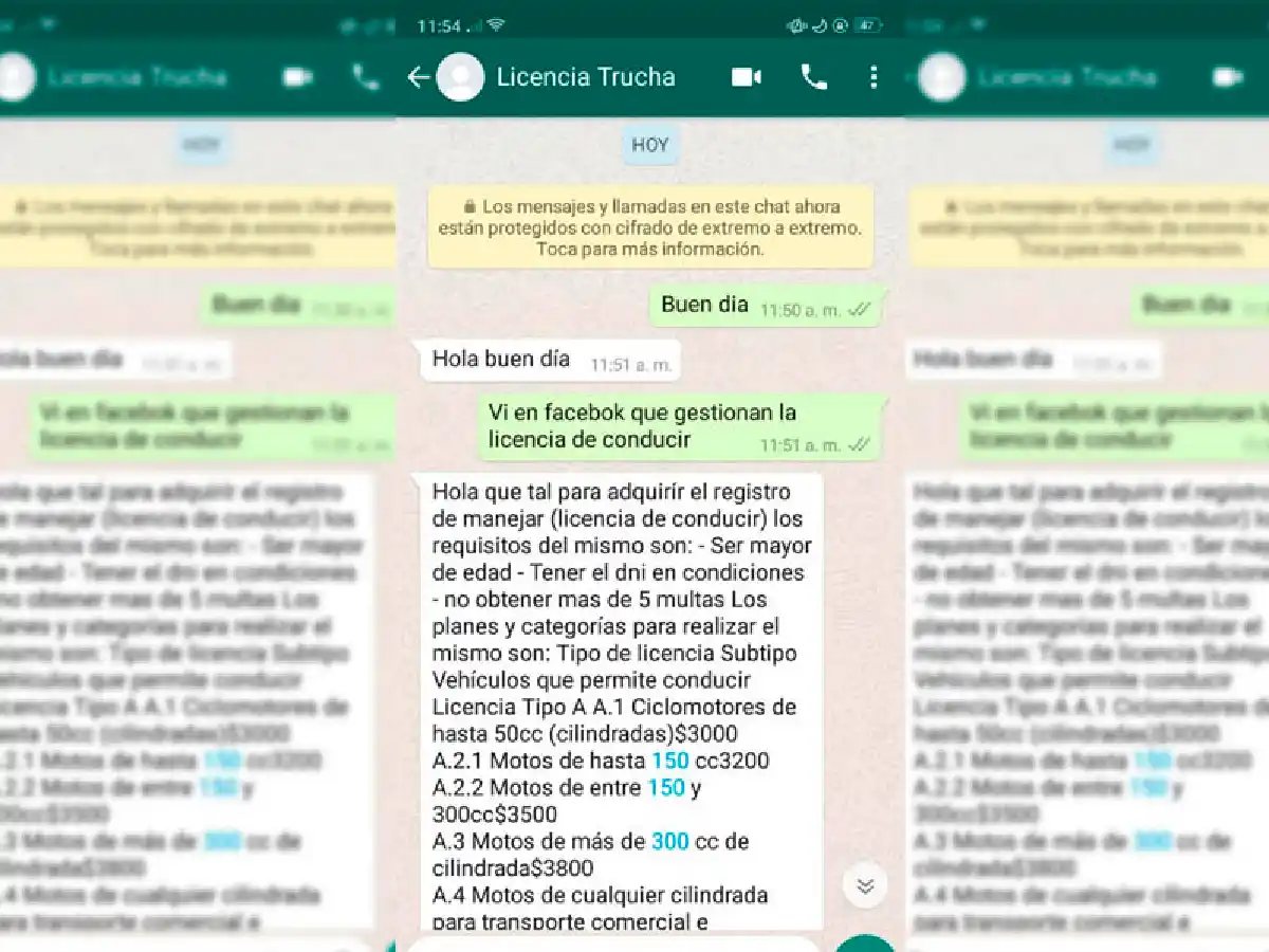 Alertan sobre sitios que ofrecen licencias de conducir falsas