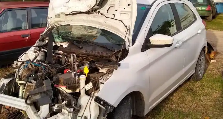 Ruta 9: Pareja chocó en auto contra un ternero que murió en el acto