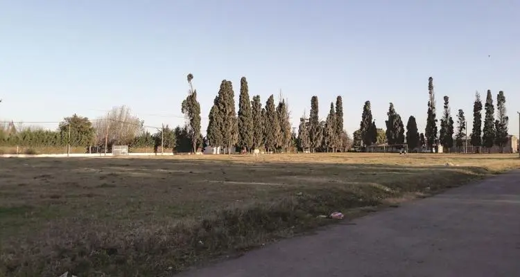 Muchas décadas