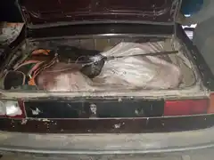 Están detenidos las personas acusadas de carnear un animal 