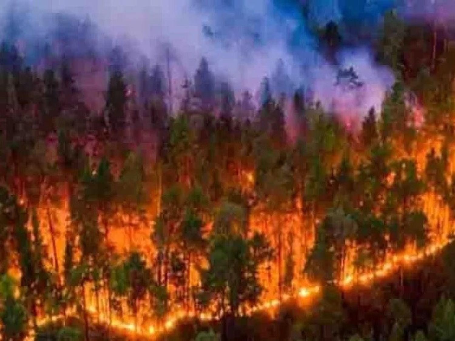 Hay 22 incendios forestales en la actualidad.