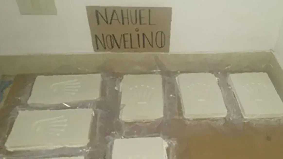 Ladrillos de cocaína incautados con las iniciales “L.N.”, marca de la banda de Novelino.
