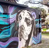 Arte callejero: los murales ganan protagonismo y aportan color