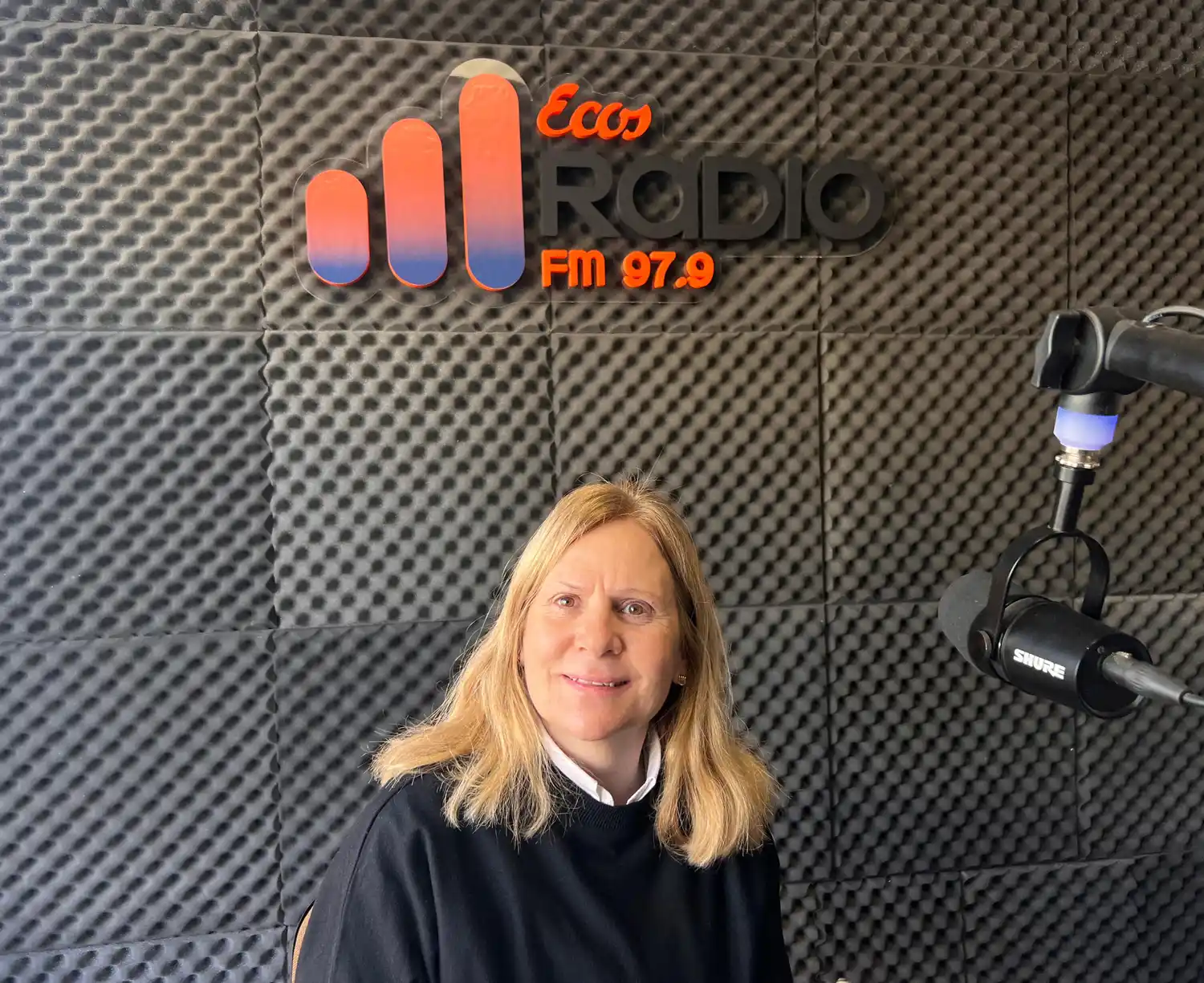 Por mes, se tramitan más de 500 licencias de conducir