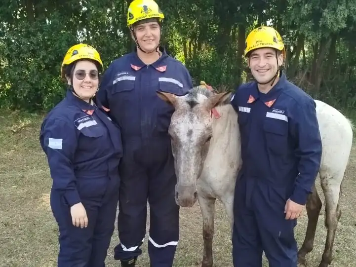 caballo atrapado