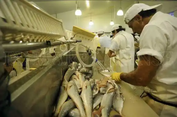 Fileteros: Provincia garantizó el pago del subsidio