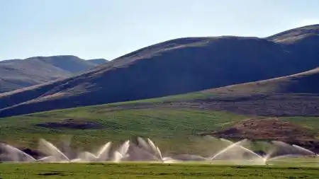 Argentina recibirá préstamos por US$ 260 millones destinados a la agroindustria