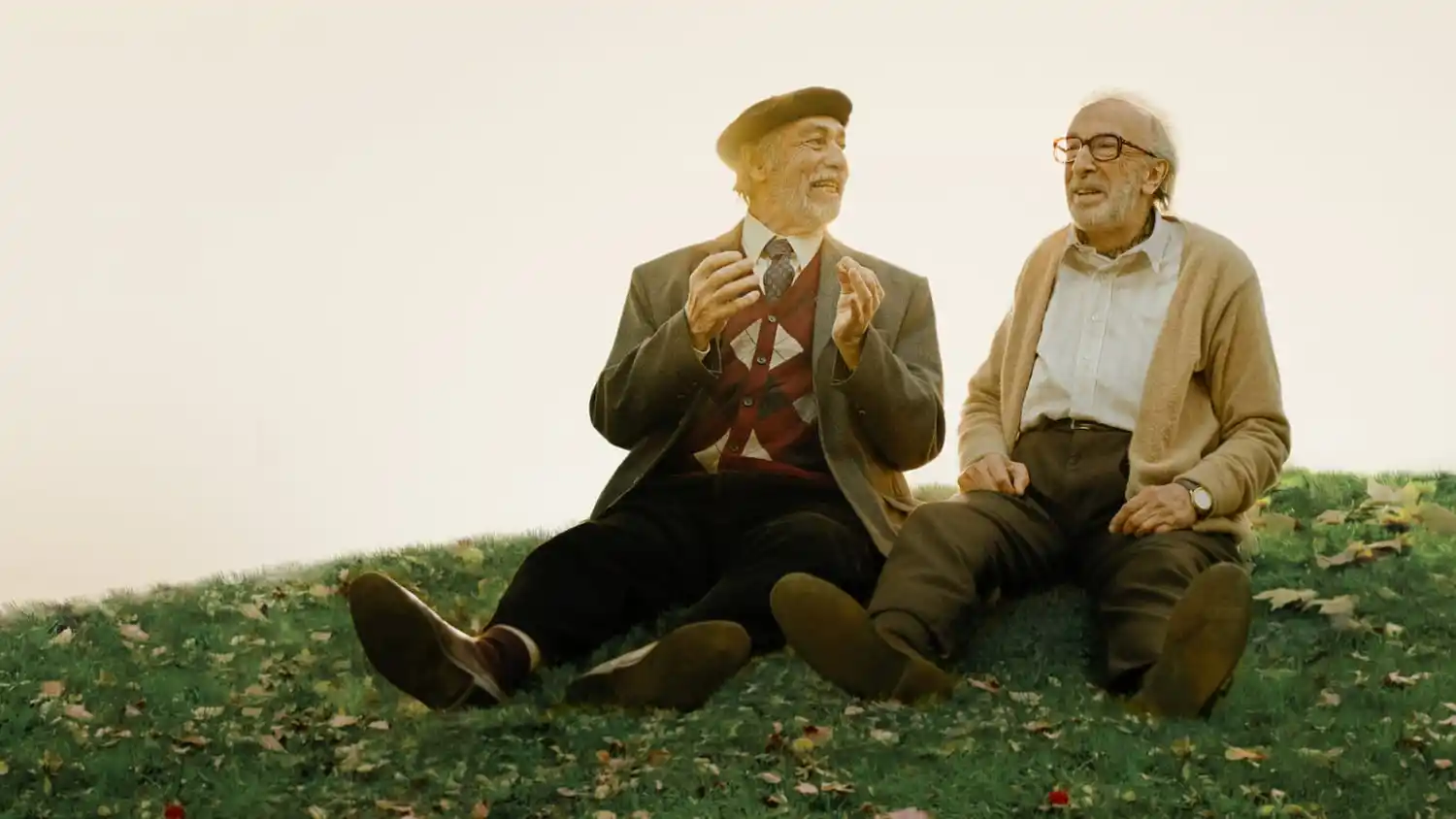 Se renueva la cartelera del Cine Belgrano: una por una, todas las opciones