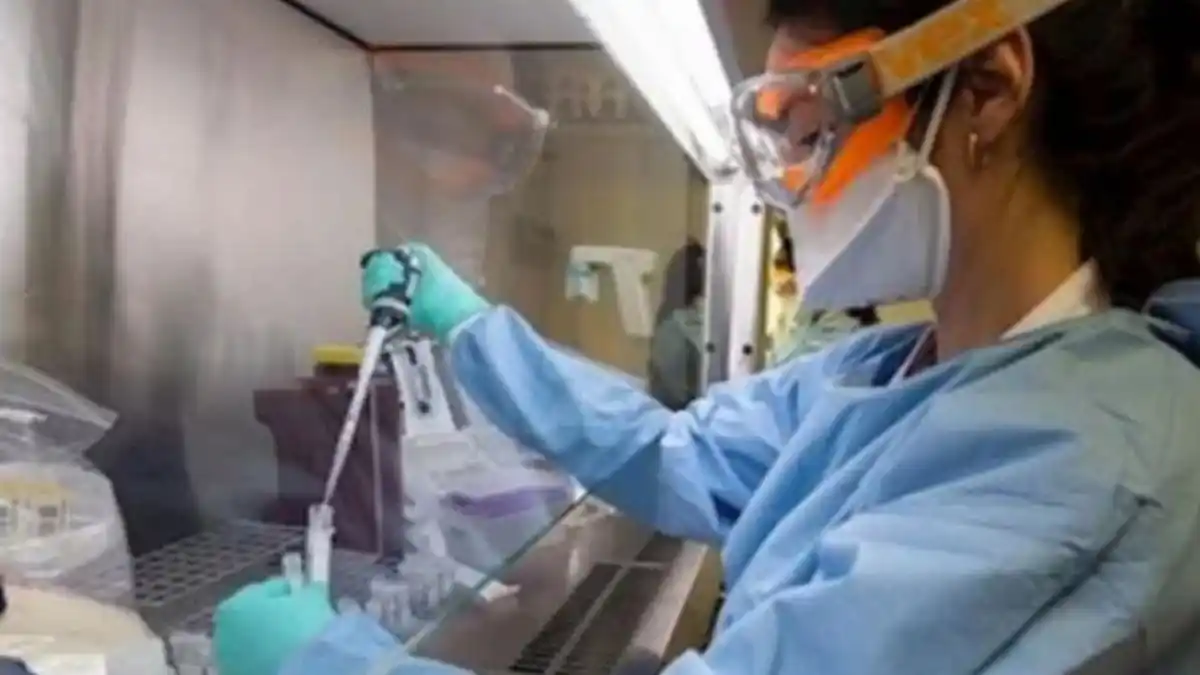 Alerta en España: investigan el brote de un virus que ya afectó a 96 personas