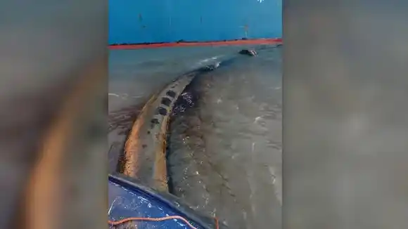 Suspenden las operaciones de una petrolera  que tuvo dos derrames de hidrocarburos