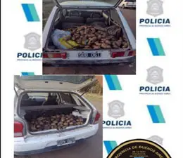 Vecinos alertaron de un robo en un campo