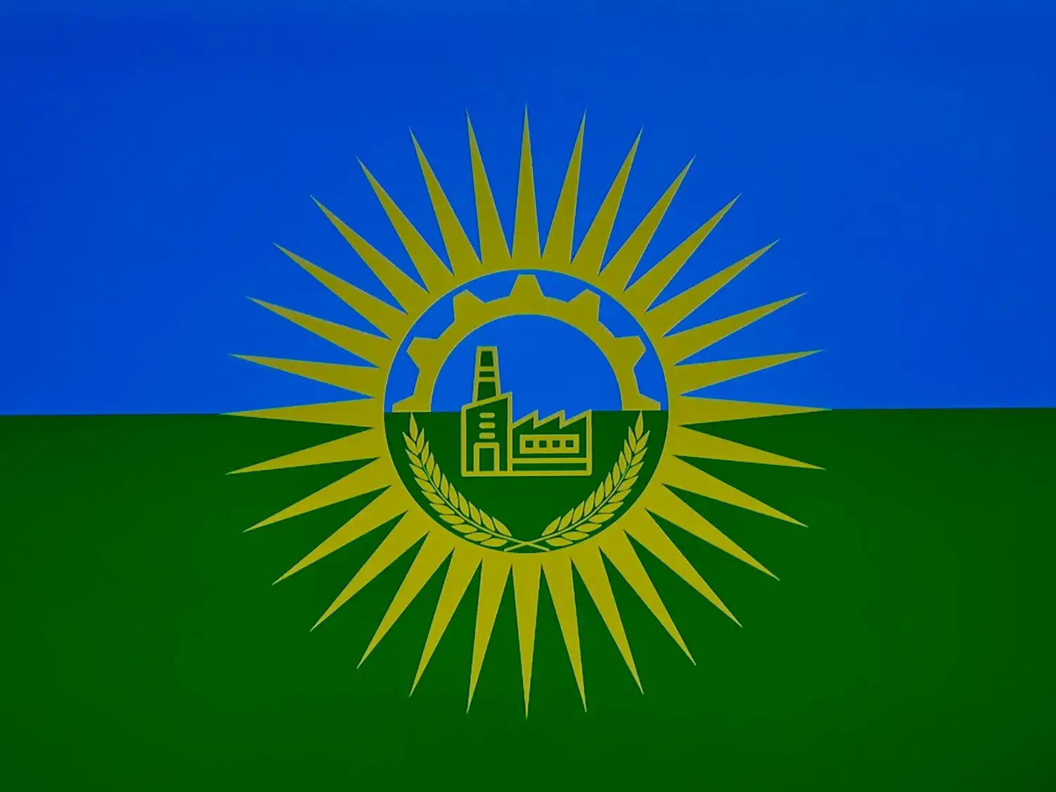 La Cámara de Diseñadores cuestionó el proceso de creación de la bandera de Rafaela: “No fuimos convocados” - 2