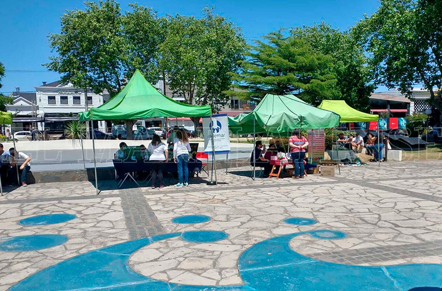 Semana de la Discapacidad: "Es un tema que lleva a dudas, por eso estamos abiertos para informar"