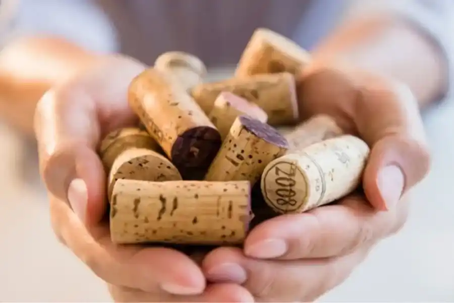 Un corcho de vino en la heladera para ahorrar energía eléctrica: cómo funciona y dónde ponerlo