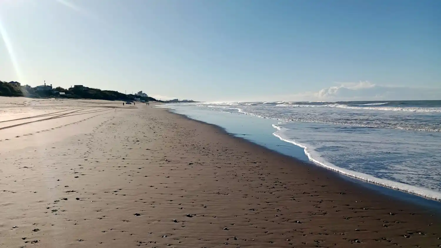 Científico advierte que una especie invasora ya llegó a Necochea y podría llegar a Mar del Plata en pocos años