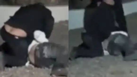 Mendoza: brutal golpiza de patovicas a un joven en una fiesta de 15