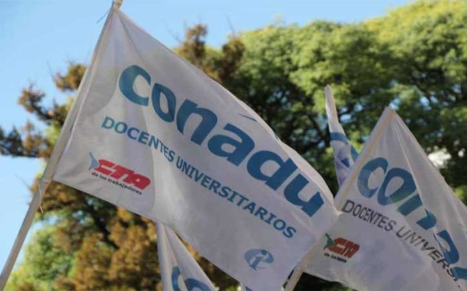 Docentes universitarios definieron plan de acción contra las reformas 
