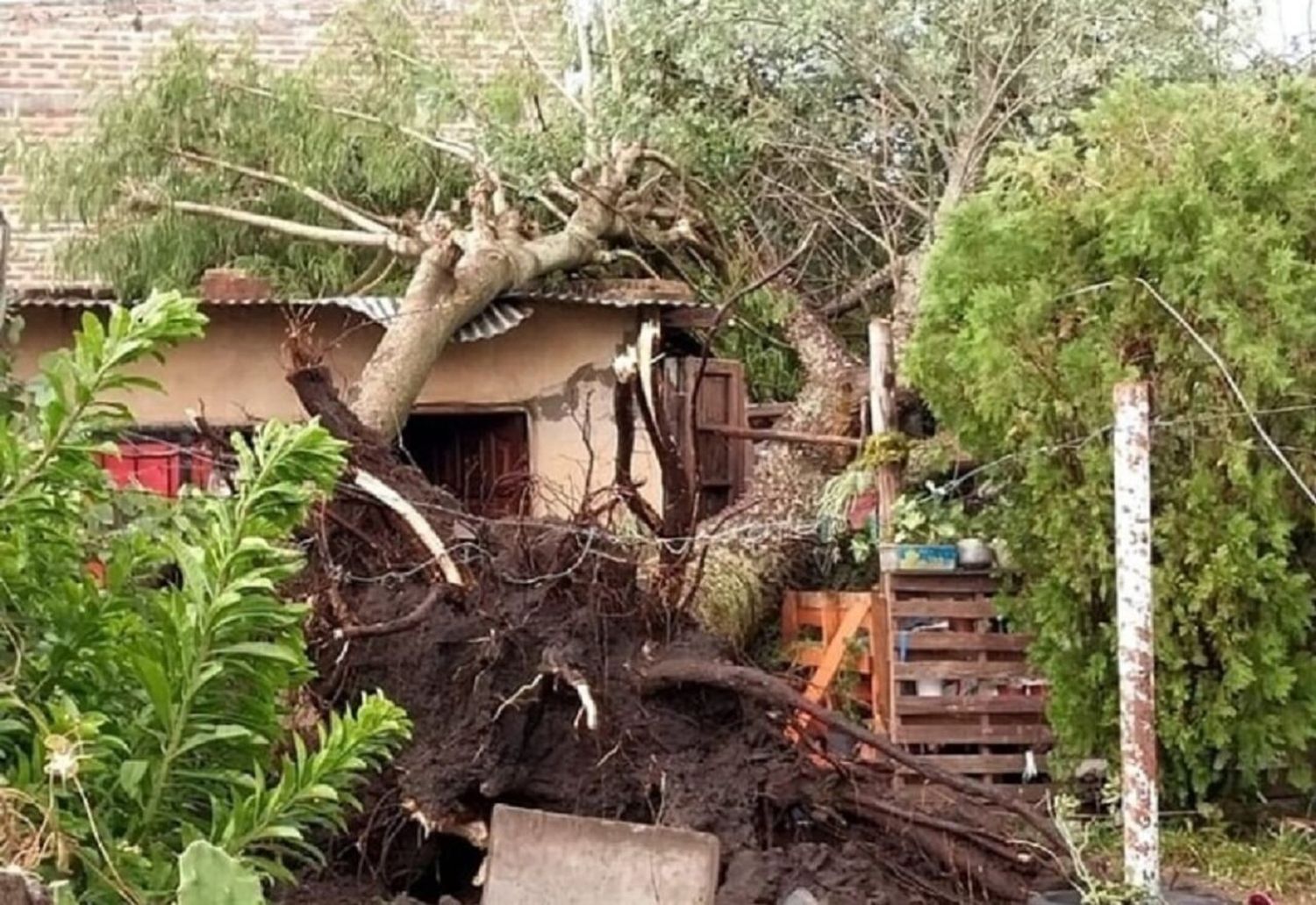 El temporal causó destrozos y dejó a varios barrios sin energía eléctrica