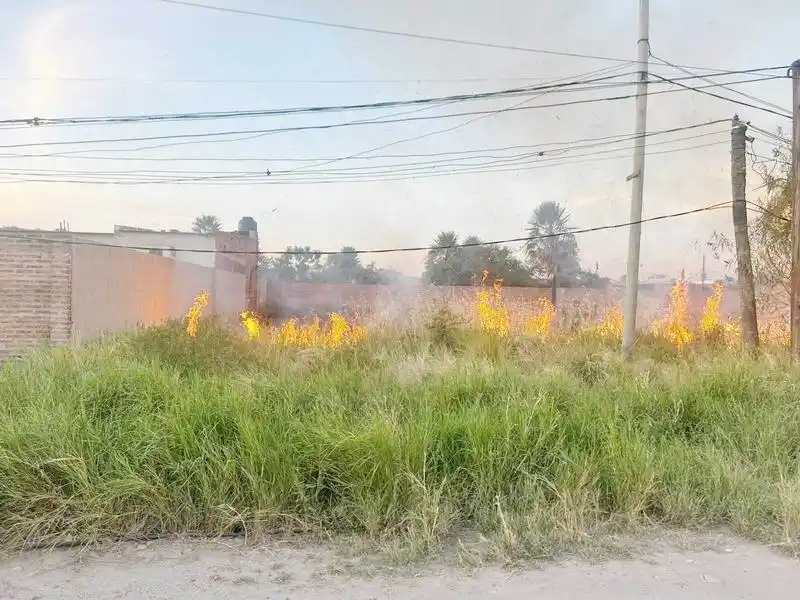 Ante las altas temperaturas recomiendan evitar
la quema de pastizales para prevenir incendios