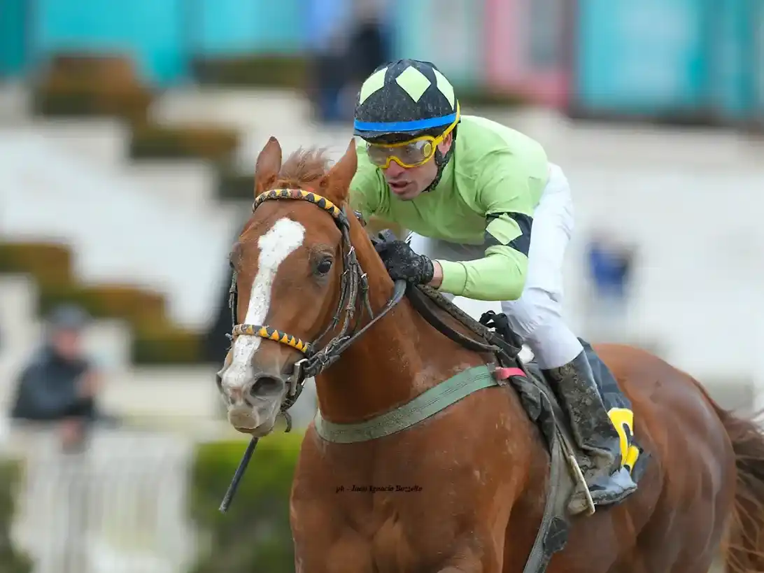 Orgullo de Gualeguay: Candy Única brilló en Palermo y ganó el Clásico Manuel J. Güiraldes