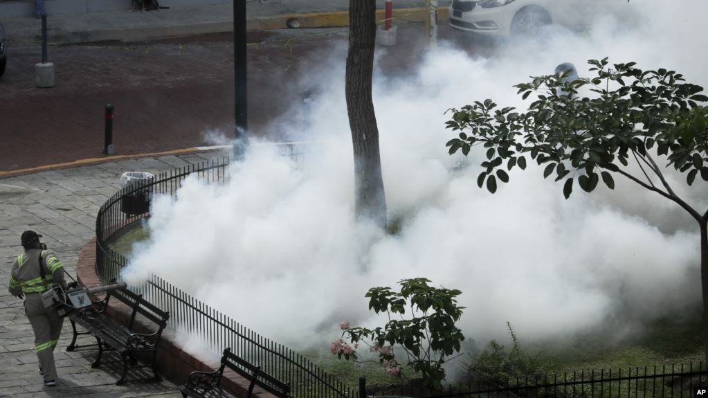 Los mosquitos delatan nuestra contradicción