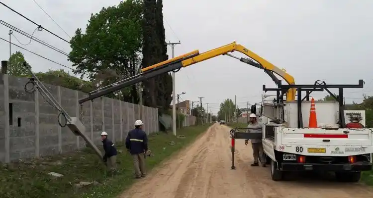 Poda, pilares, tendido eléctrico