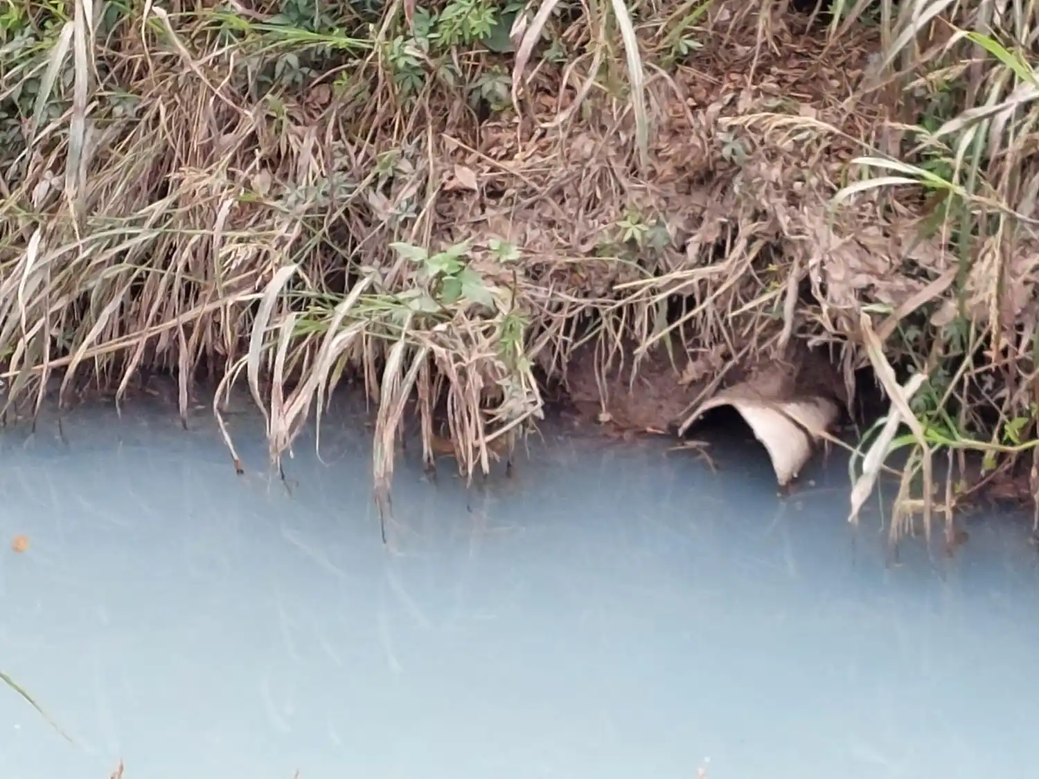 La Justicia ordenó al Municipio de Crespo suspender el riego de calles con agua contaminada