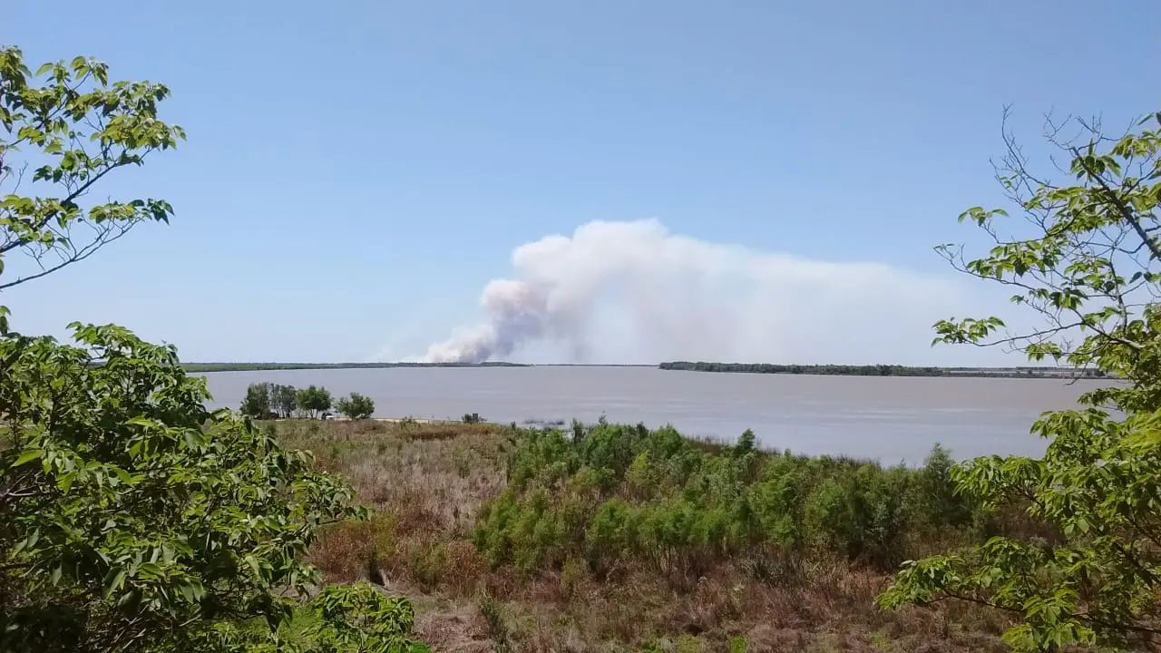 Ecocidio en islas: Manejo del Fuego mantiene a los brigadistas ante la aparición de nuevos focos